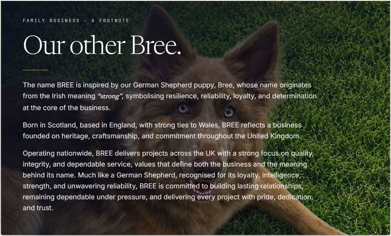 Editorial card titled 'Our other Bree.' (family business, a footnote) showing a portrait of a German Shepherd puppy named Bree on green grass. Body explains the name BREE is inspired by the puppy and the Irish meaning 'strong', symbolising resilience, reliability, loyalty and determination at the core of the business.