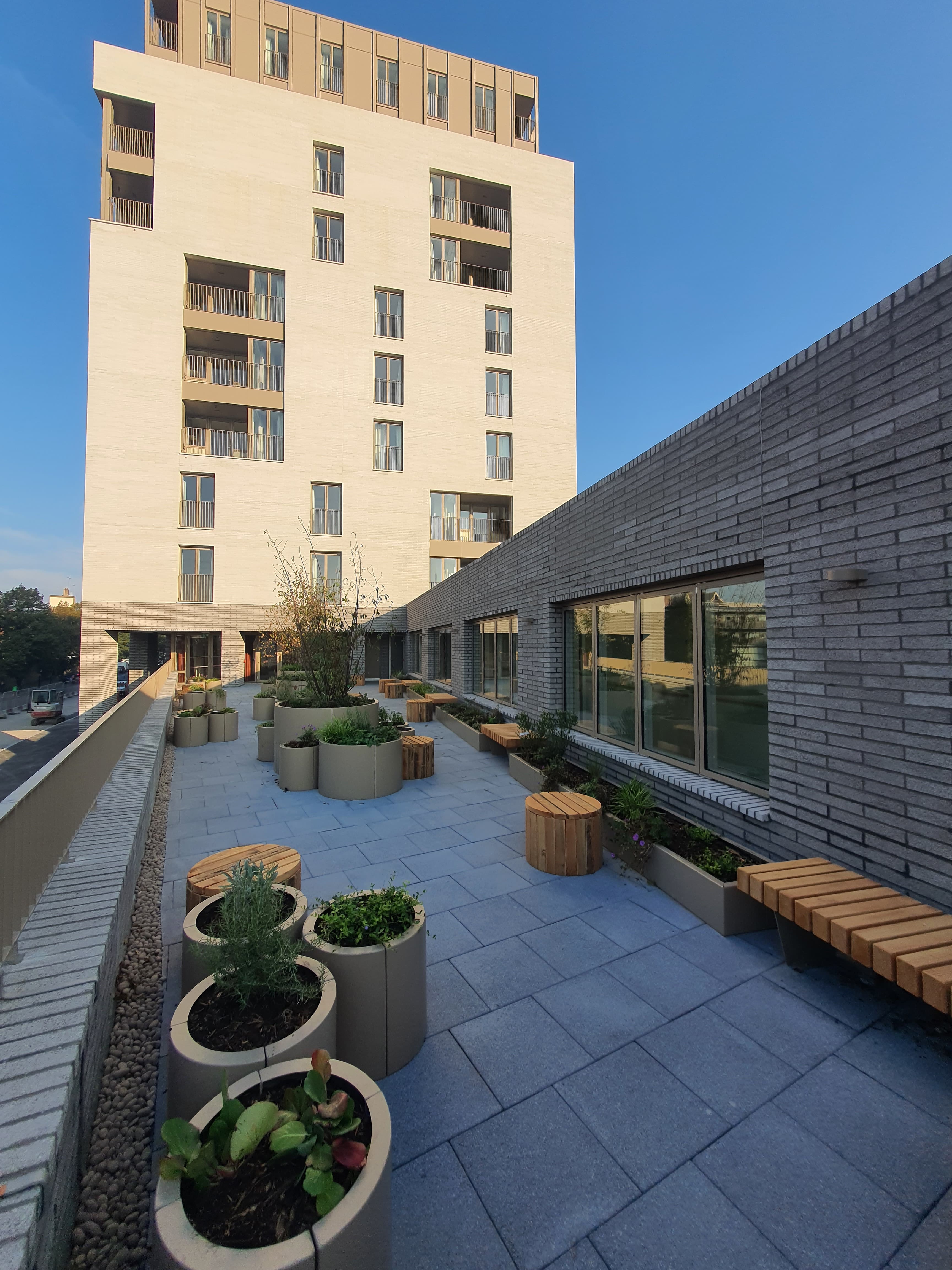 Daventry House (Lisson Arches), Westminster: roof-level residents' garden at dusk, circular concrete planters with autumn trees, oak bench seating and granite paving, with the cream-brick block and lit pivot-window pavilion behind