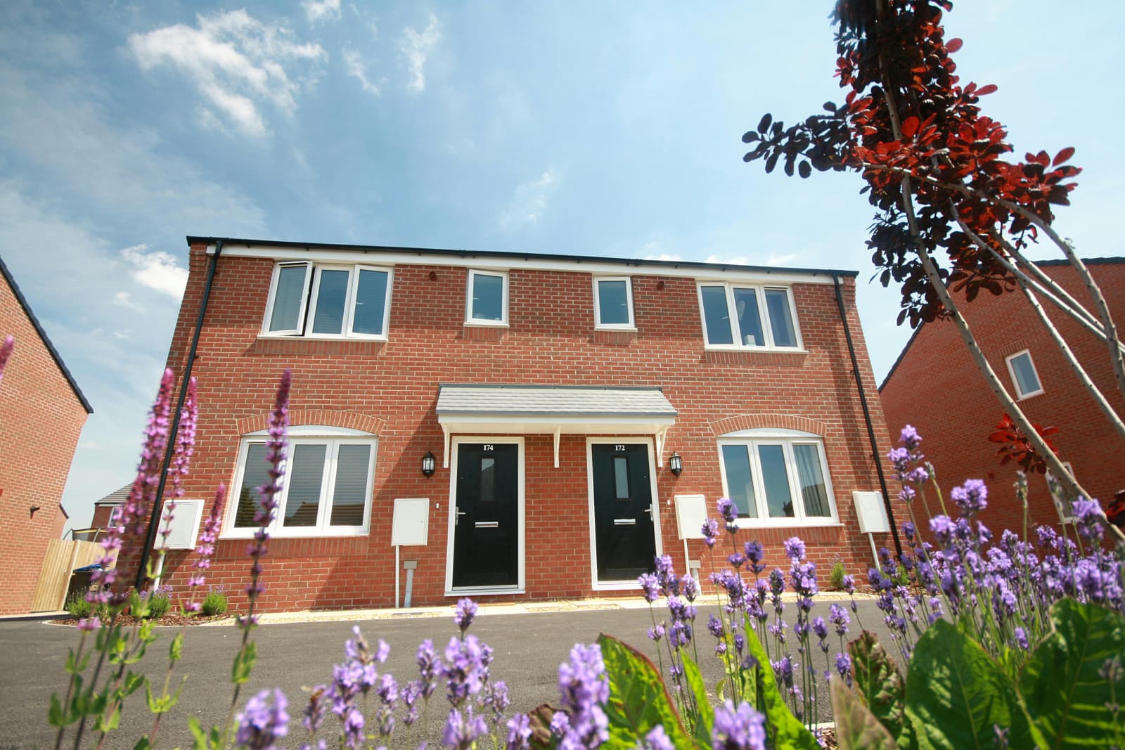 Central Avenue, Northampton: red-brick semi-detached pair (Nos. 172 and 174) with twin gabled porches and black entry doors, framed by a foreground bed of flowering lavender on a clear summer day